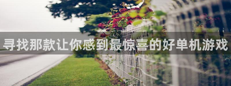 寻找那款让你感到最惊喜的好单机游戏
