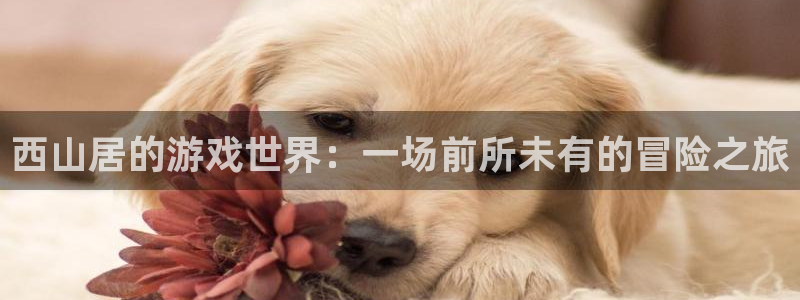 尊龙资产：西山居的游戏世界：一场前所未有的冒险之旅